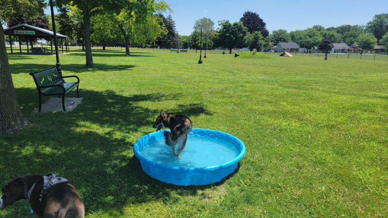 Bark Park - Tiffin, OH