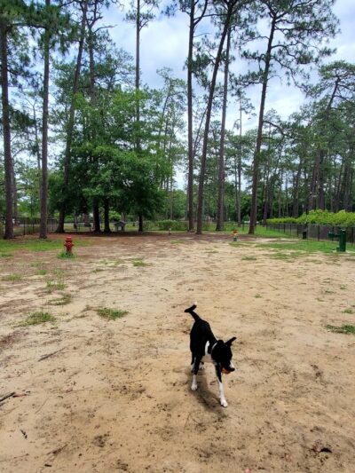 Fulwood City of Tifton Dog Park - Tifton, GA