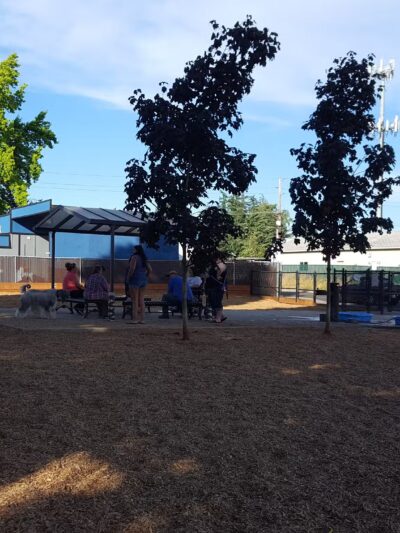 Ash Avenue Dog Park - Tigard, OR