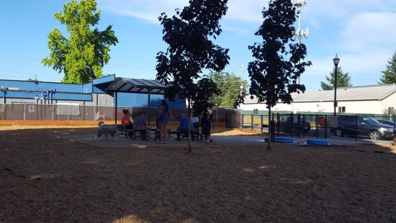 Ash Avenue Dog Park - Tigard, OR