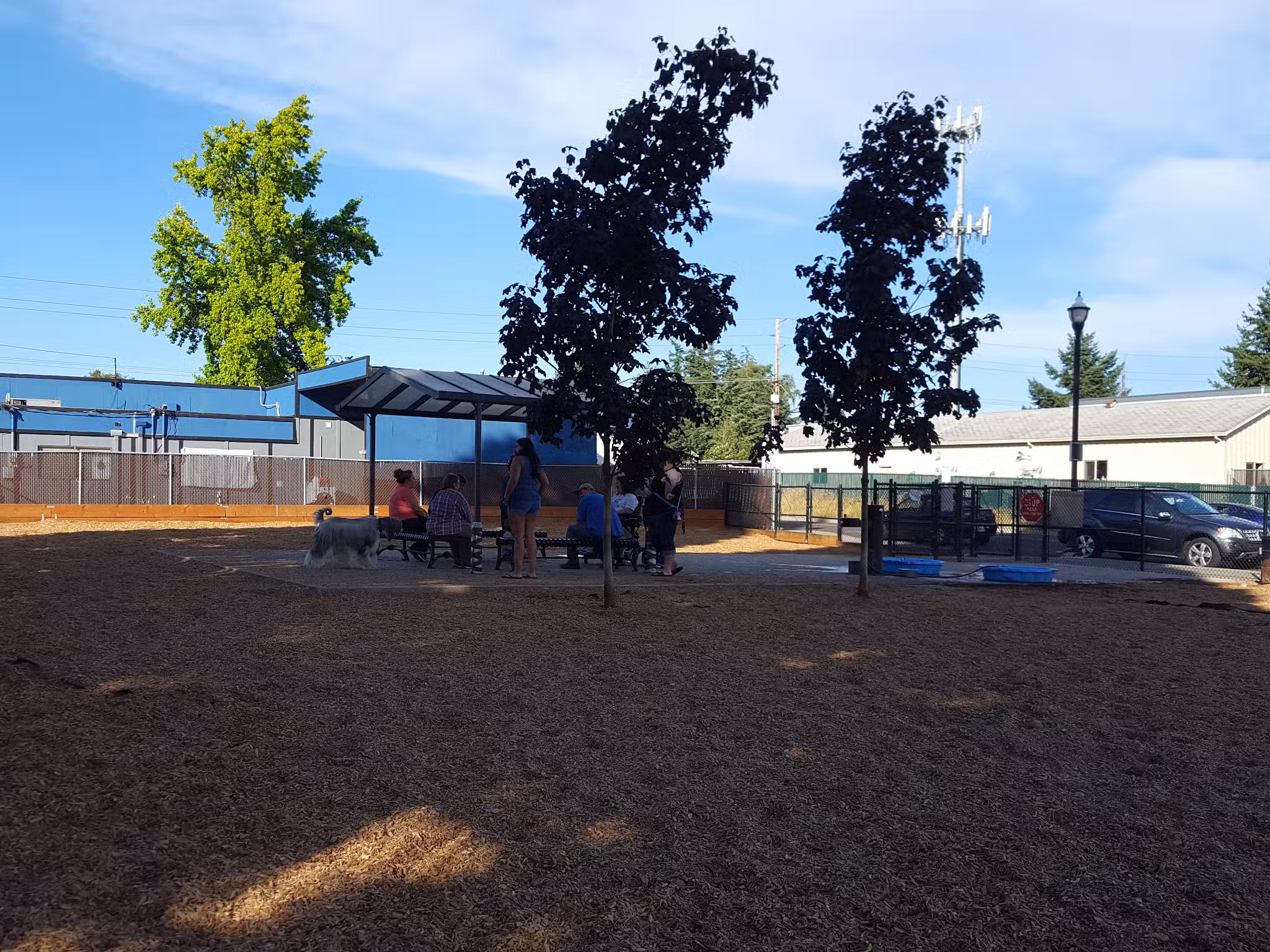 Ash Avenue Dog Park - Tigard, OR