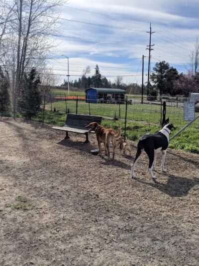 Potso Dog Park - Tigard, OR