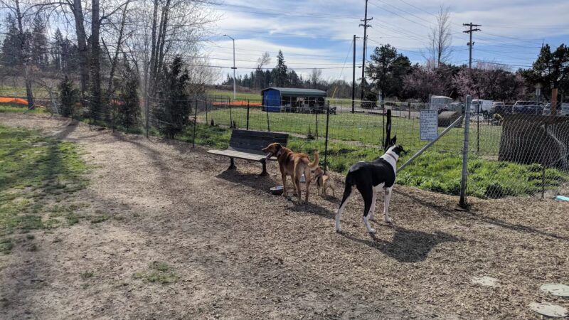 Potso Dog Park - Tigard, OR