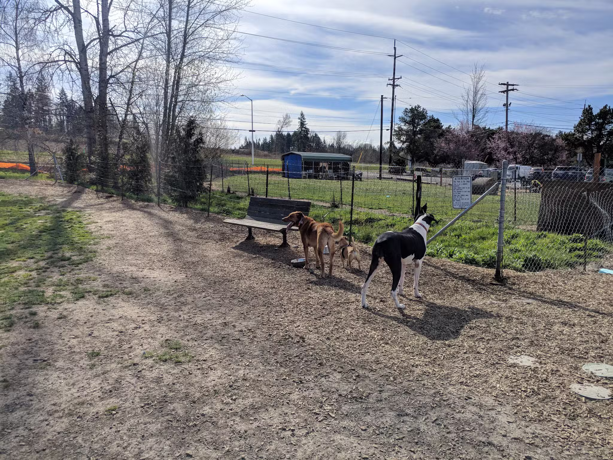 Potso Dog Park - Tigard, OR