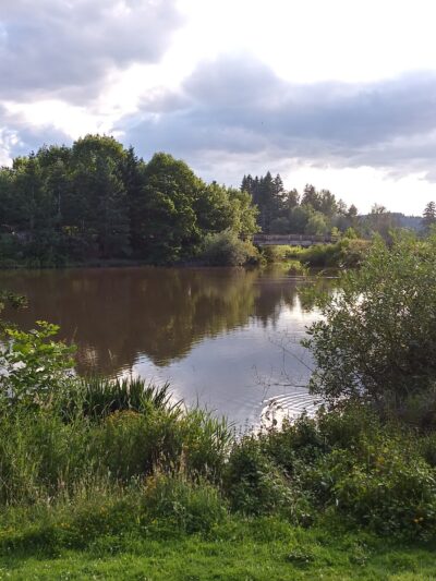 Summerlake Dog Park - Tigard, OR