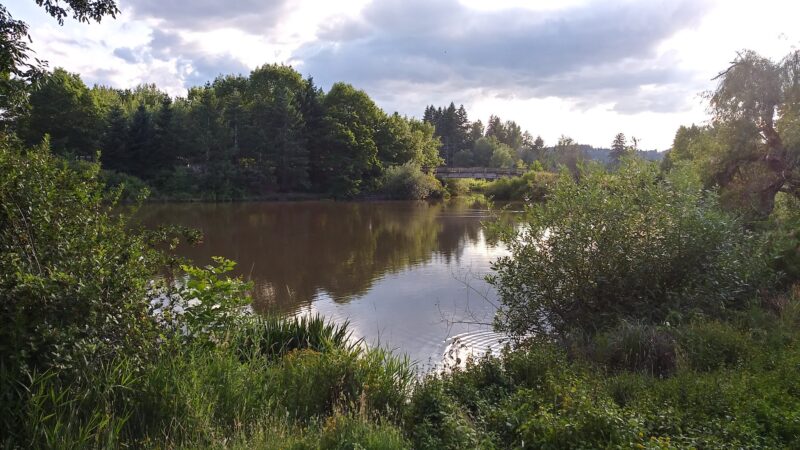 Summerlake Dog Park - Tigard, OR