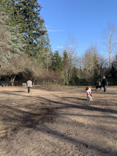 Summerlake Dog Park - Tigard, OR