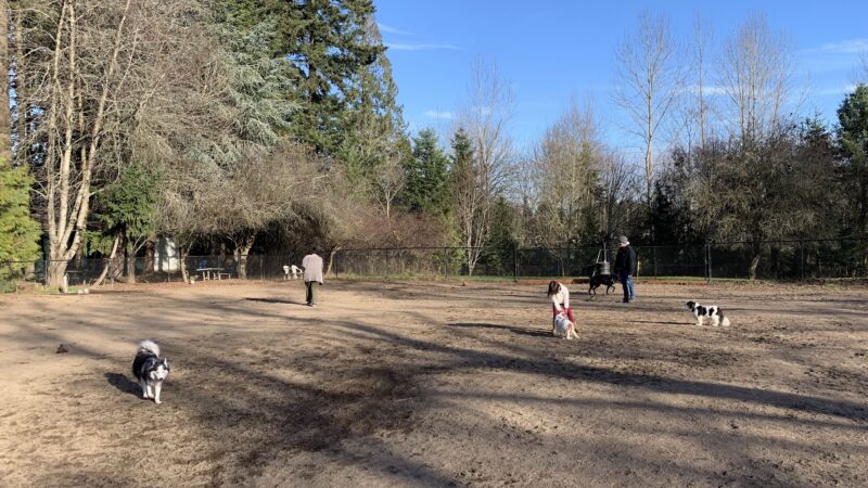 Summerlake Dog Park - Tigard, OR