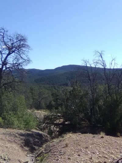 462 Trailhead - Tijeras, NM