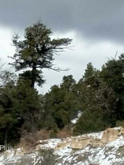 462 Trailhead - Tijeras, NM