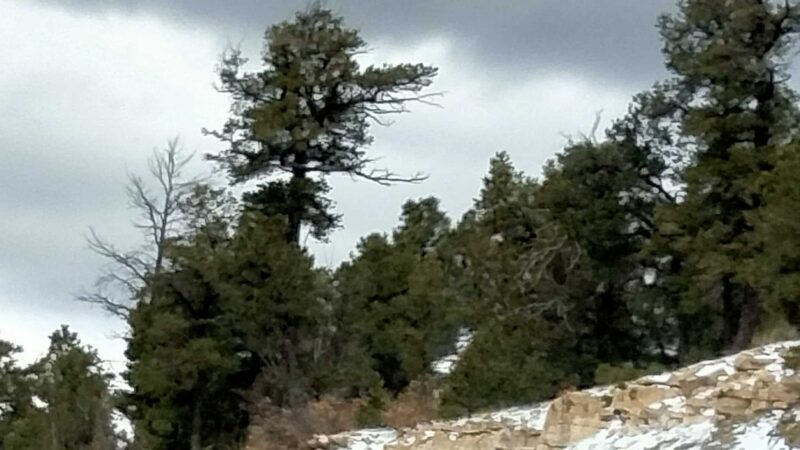 462 Trailhead - Tijeras, NM