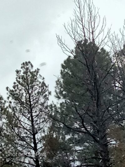 462 Trailhead - Tijeras, NM