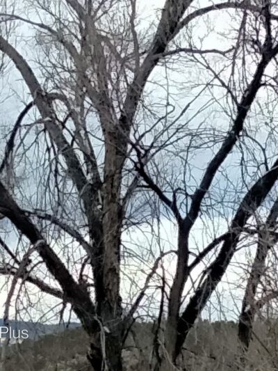 462 Trailhead - Tijeras, NM