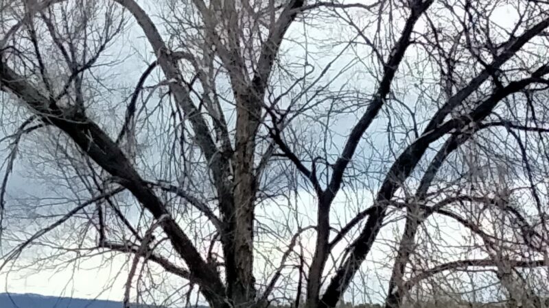 462 Trailhead - Tijeras, NM