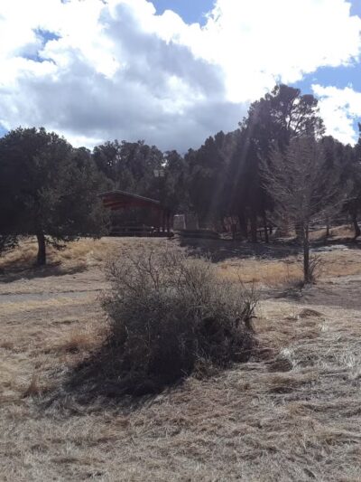 Cedro Peak Group Campground - Tijeras, NM