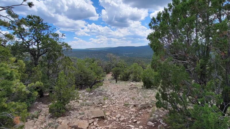 Cedro Peak Group Campground - Tijeras, NM