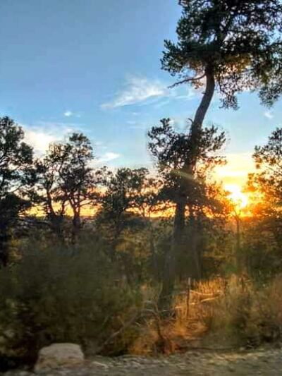 Cedro Peak Group Campground - Tijeras, NM