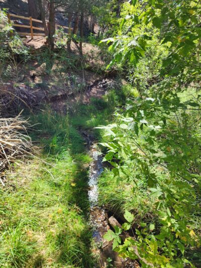 Cienega Picnic Area - Tijeras, NM