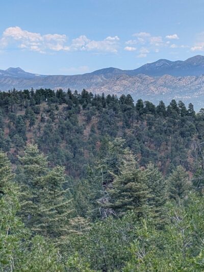 Cienega Picnic Area - Tijeras, NM