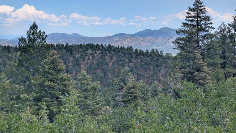 Cienega Picnic Area - Tijeras, NM