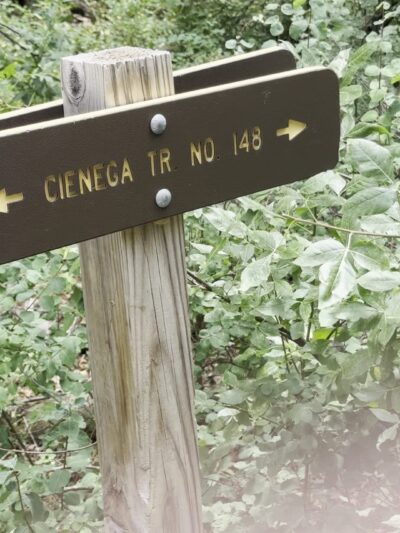 Cienega Picnic Area - Tijeras, NM