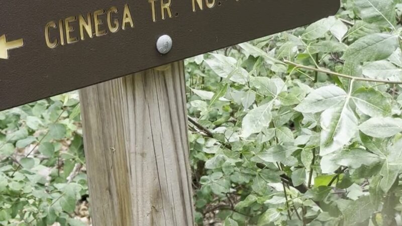 Cienega Picnic Area - Tijeras, NM
