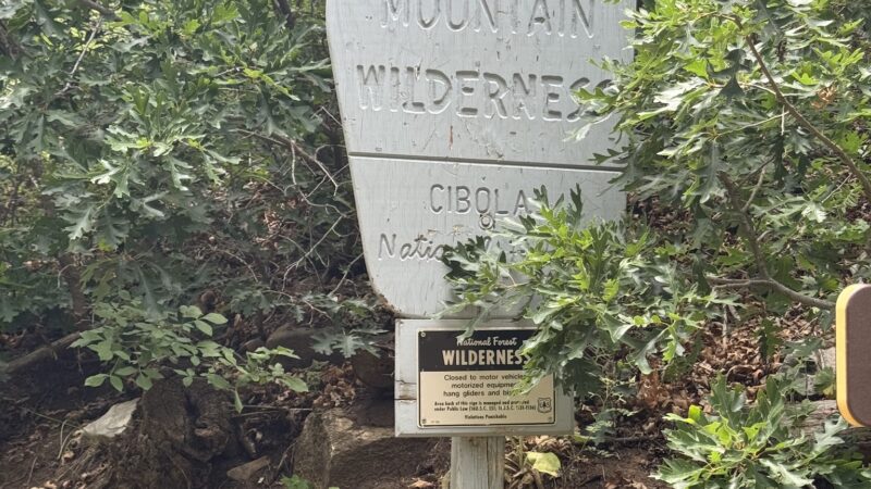 Cienega Picnic Area - Tijeras, NM