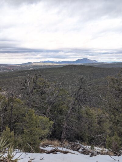 Coyote Trail - Tijeras, NM
