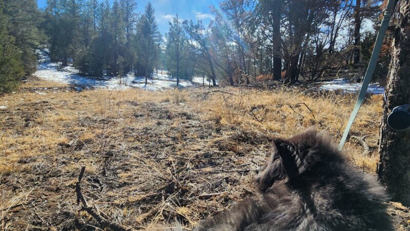 Lower Pine Trailhead - Tijeras, NM