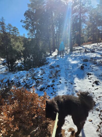 Lower Pine Trailhead - Tijeras, NM