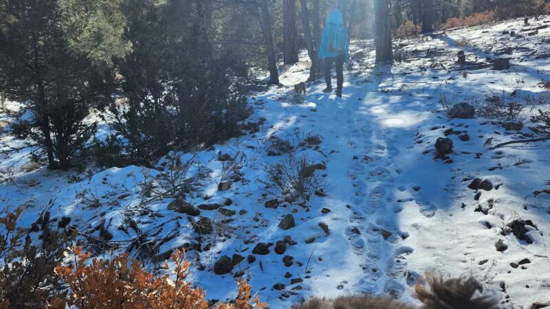 Lower Pine Trailhead - Tijeras, NM