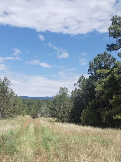 Lower Pine Trailhead - Tijeras, NM