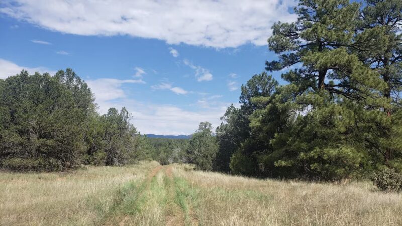 Lower Pine Trailhead - Tijeras, NM