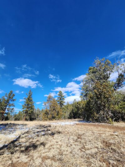 Lower Pine Trailhead - Tijeras, NM