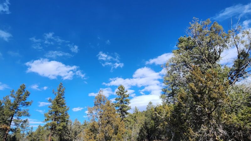 Lower Pine Trailhead - Tijeras, NM