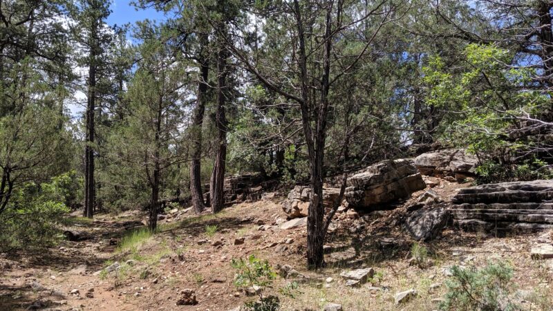 PINE FLAT PICNIC AREA - Tijeras, NM
