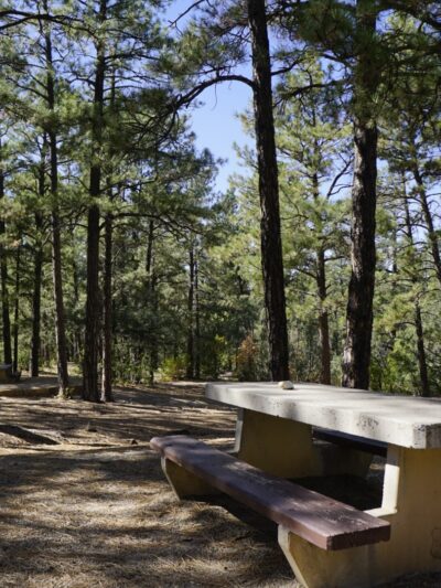 PINE FLAT PICNIC AREA - Tijeras, NM
