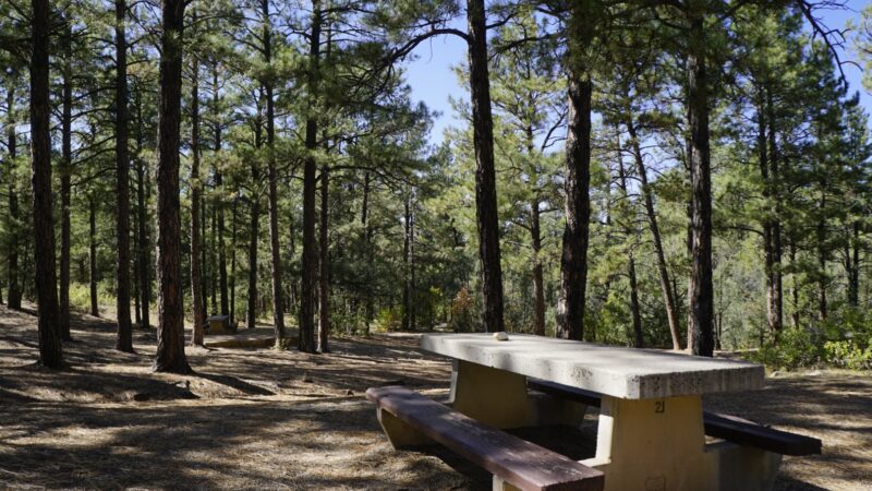 PINE FLAT PICNIC AREA - Tijeras, NM