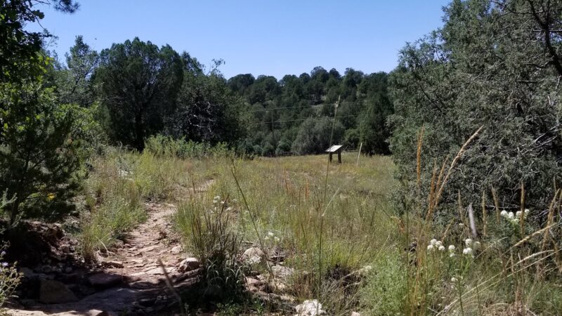 Sabino Canyon Trail - Tijeras, NM