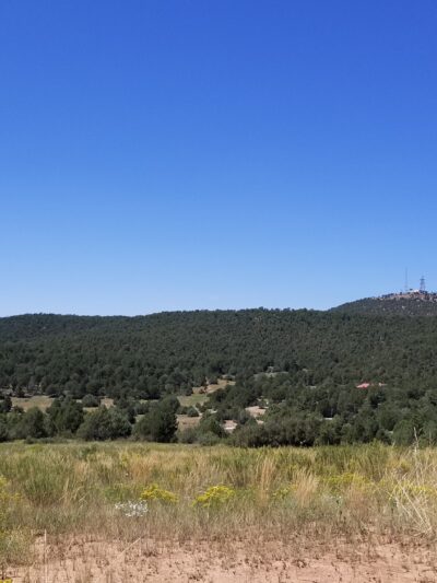 Sabino Canyon Trail - Tijeras, NM