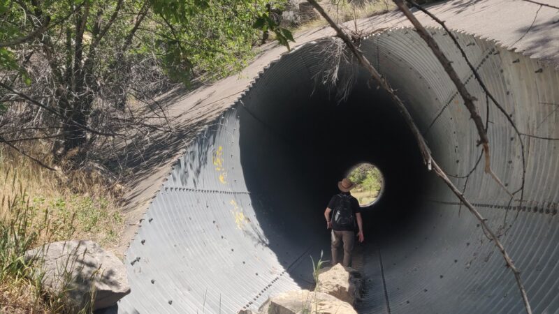 Tunnel Canyon - Grand Enchantment Trailhead - Tijeras, NM