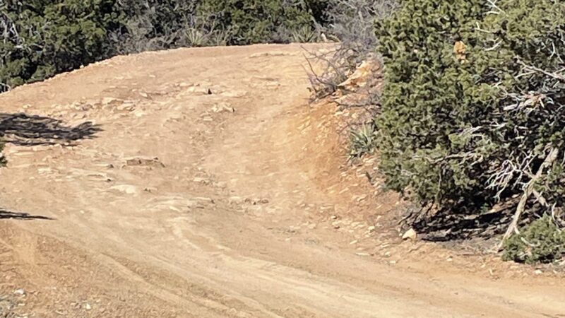 Cedro Peak Trailhead - Tijeras, NM