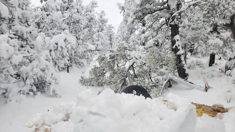 Cedro Peak Trailhead - Tijeras, NM