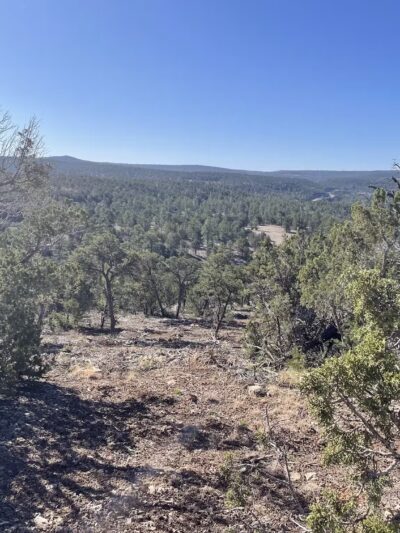 Cedro Peak Trailhead - Tijeras, NM