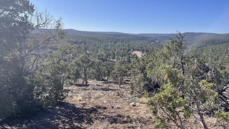 Cedro Peak Trailhead - Tijeras, NM