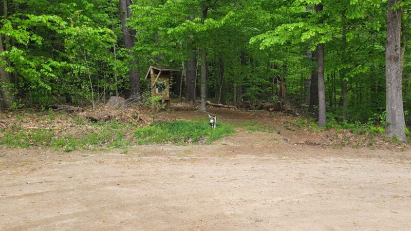 Buffalo Park conservation area - Tilton, NH