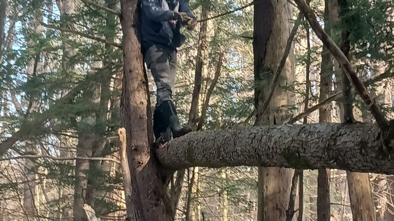 Buffalo Park conservation area - Tilton, NH