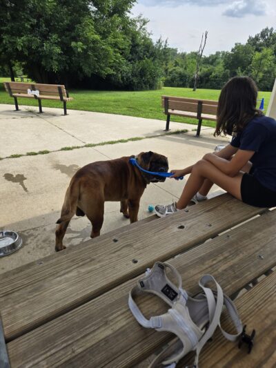 Bremen Grove Dog Park (membership required) - Tinley Park, IL