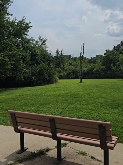 Bremen Grove Dog Park (membership required) - Tinley Park, IL