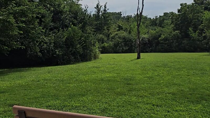 Bremen Grove Dog Park (membership required) - Tinley Park, IL